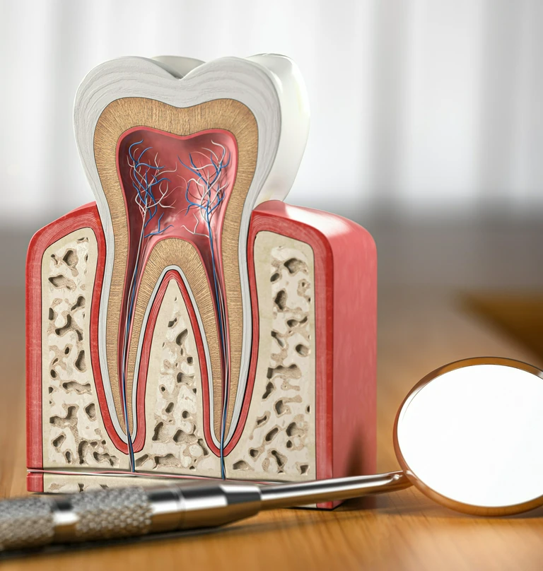 Endodoncja